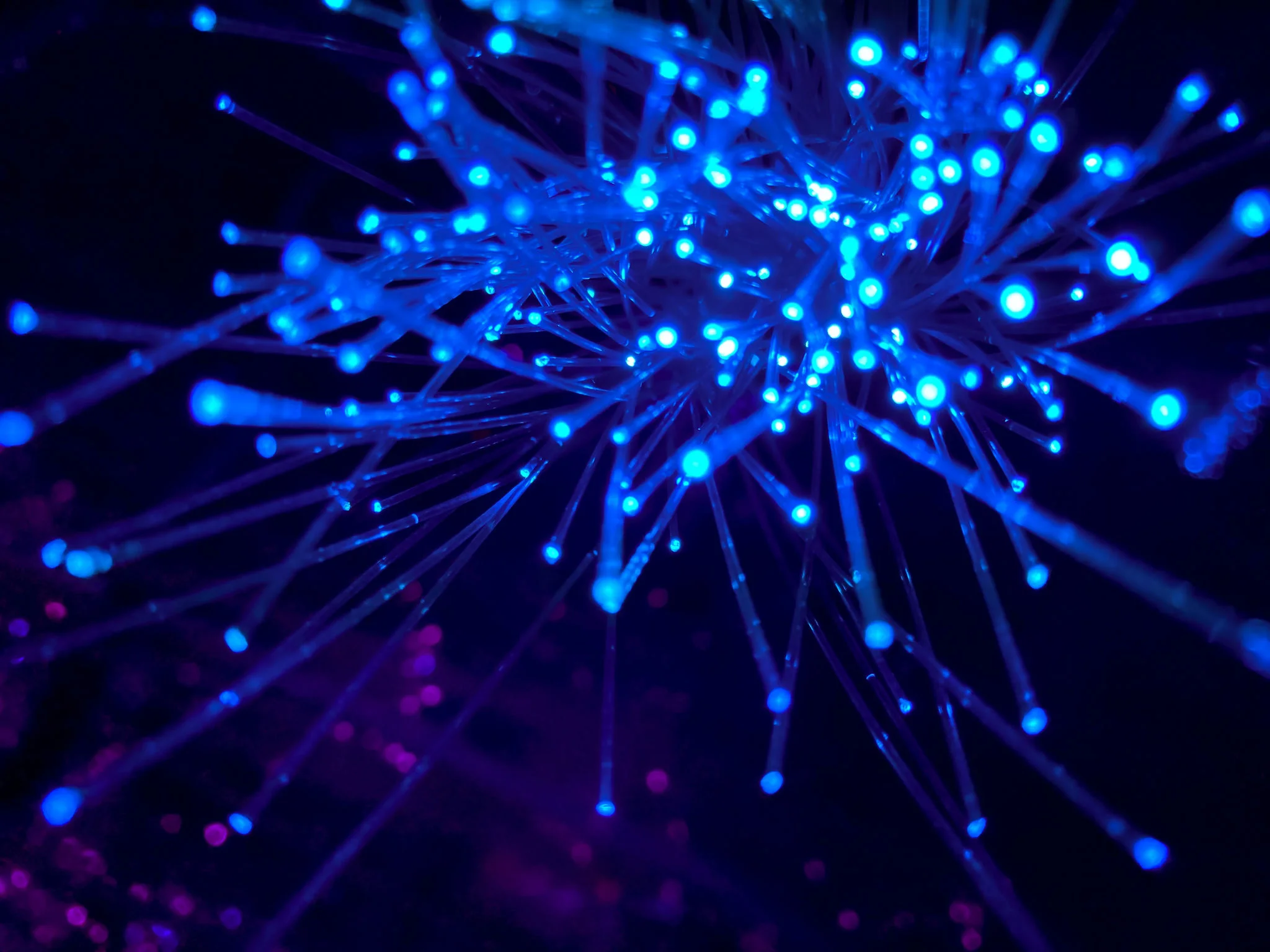 Fiber Internet