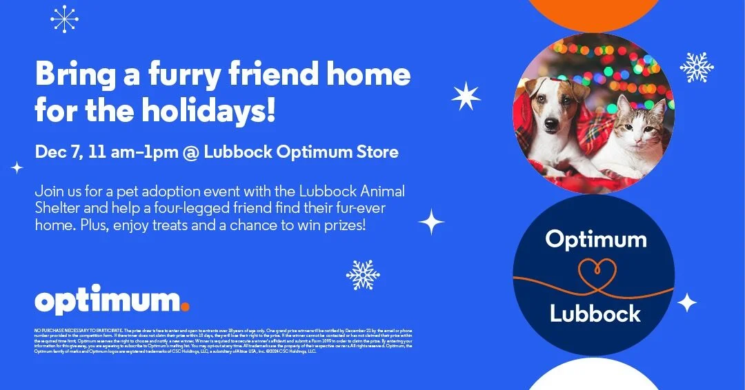 Bring a furry friend home for the holidays! Adopt-A-Pet